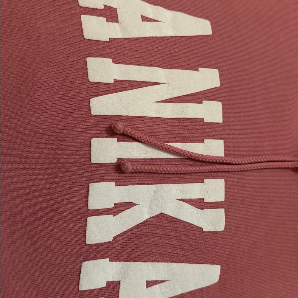 Rare Brandy Melville John Galt Lanikai Cropped Hoodie Pink - Picture 5 of 9